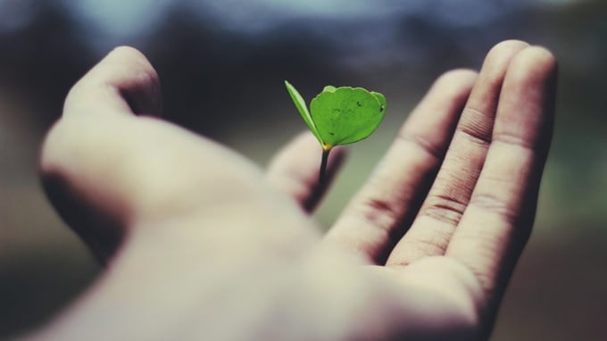 Educators: The Ultimate Testimony to Growth Mindset