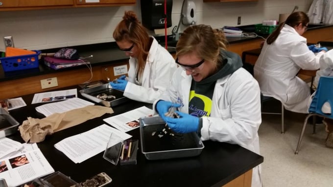 Class Reignites Excitement for Inquiry, Science