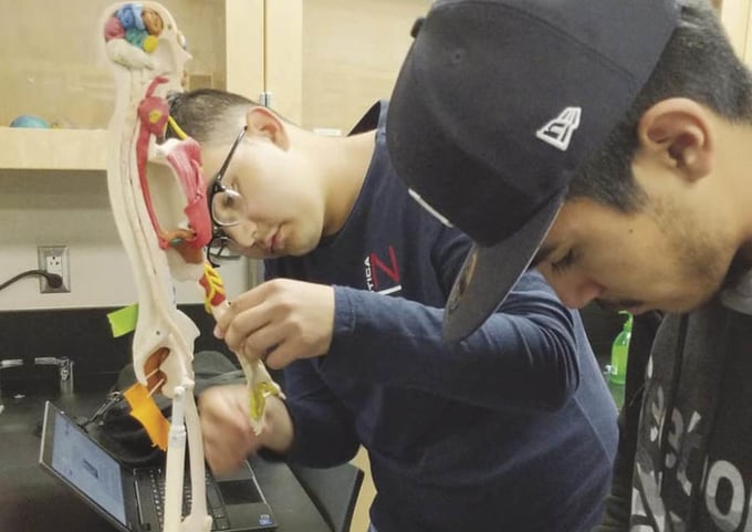 Teachers Should Lead by Example for Collaboration