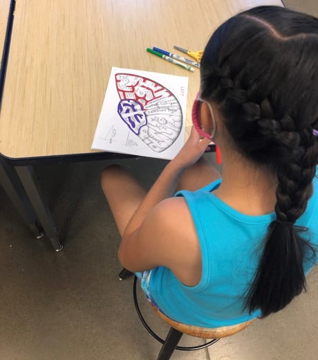 PLTW Brings Biomed Science to Underrepresented Kids