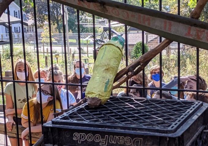 Sharing STEM at the Zoo