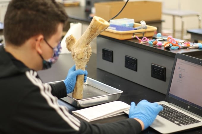 Learning with PLTW Biomedical Science Curriculum
