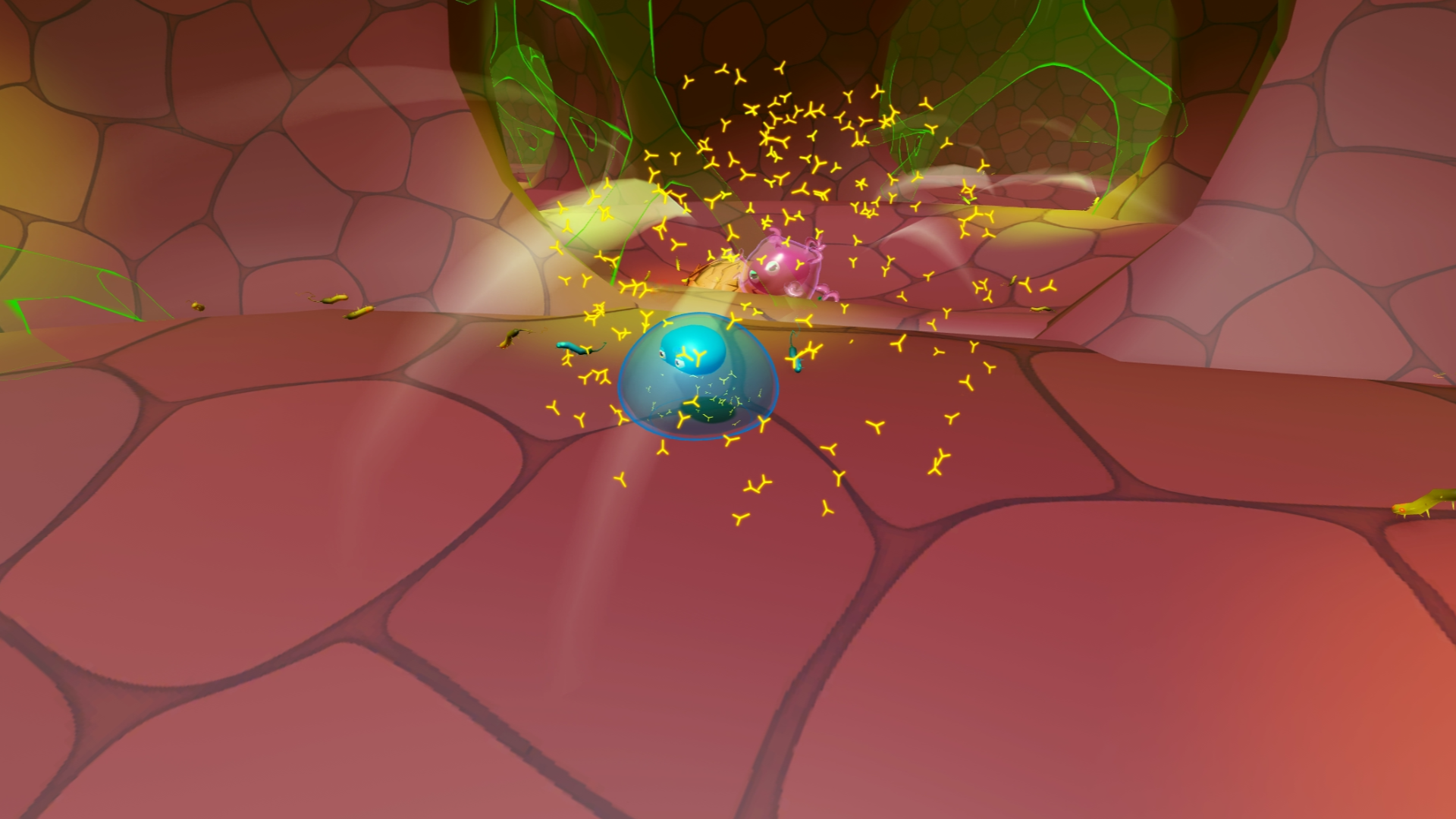 Lungs Bacteria Plasma B Thumbnail-1