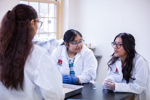 PLTW Biomedical Science students discussing with each other