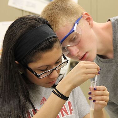Two students engaged in lab together