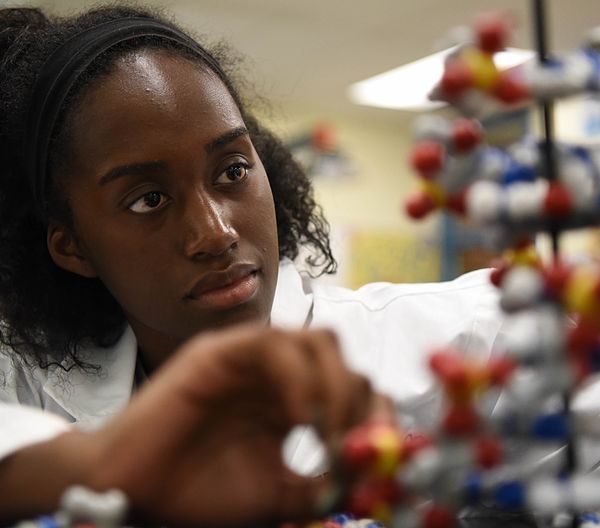 Biomedical student examining model