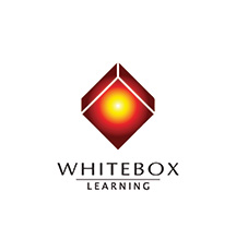 Whitebox Learning
