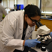 Biomedical Science student looking into a microscope and wearing a lab coat. 
