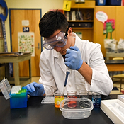 Biomedical Science student squeezing a pipette into beakers 
